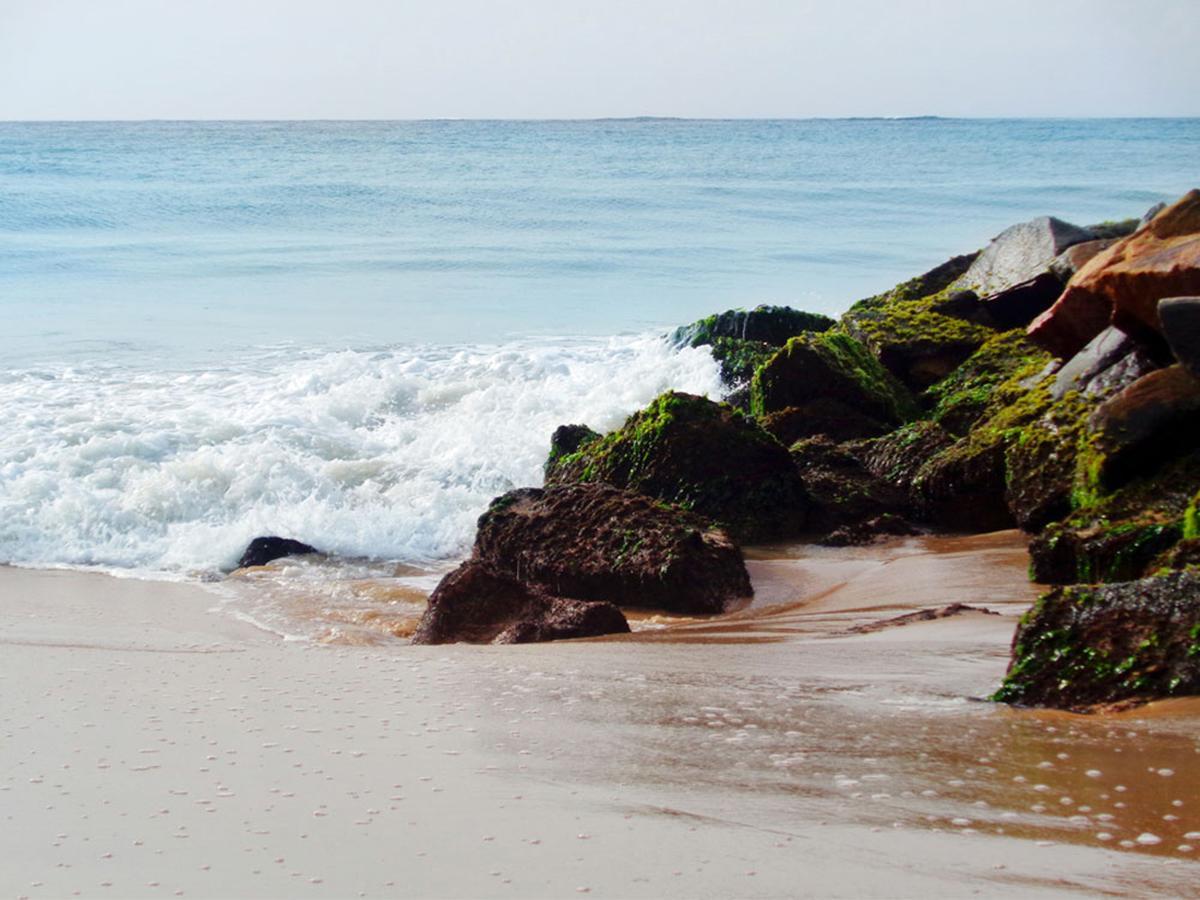 טנגלה Reggae Zone Beach Resort מראה חיצוני תמונה